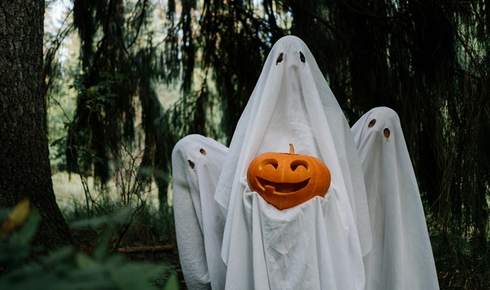 How to Face Your Job Search Fears: A Halloween Guide