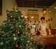 The Benefits of Gaining Experience in Hospitality During Christmas